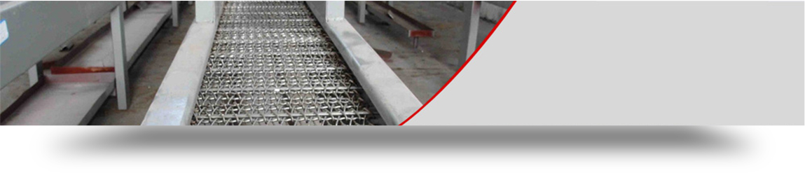 米乐yy易游体育网址是多少啊